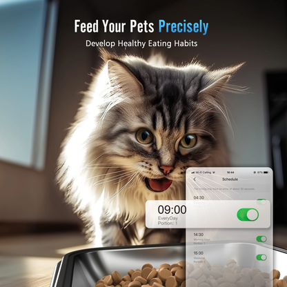 Automatic Dog Feeder