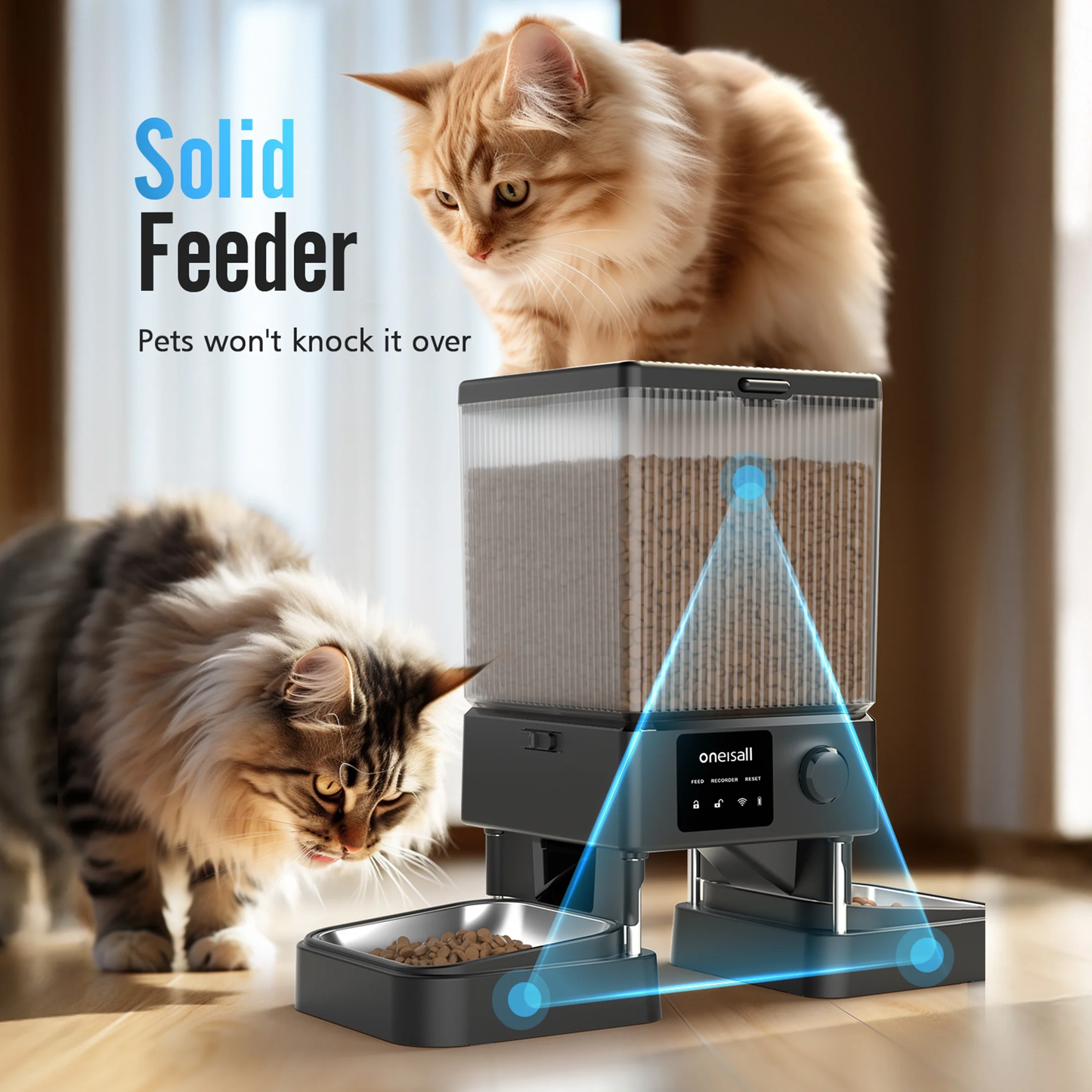 Automatic Dog Feeder