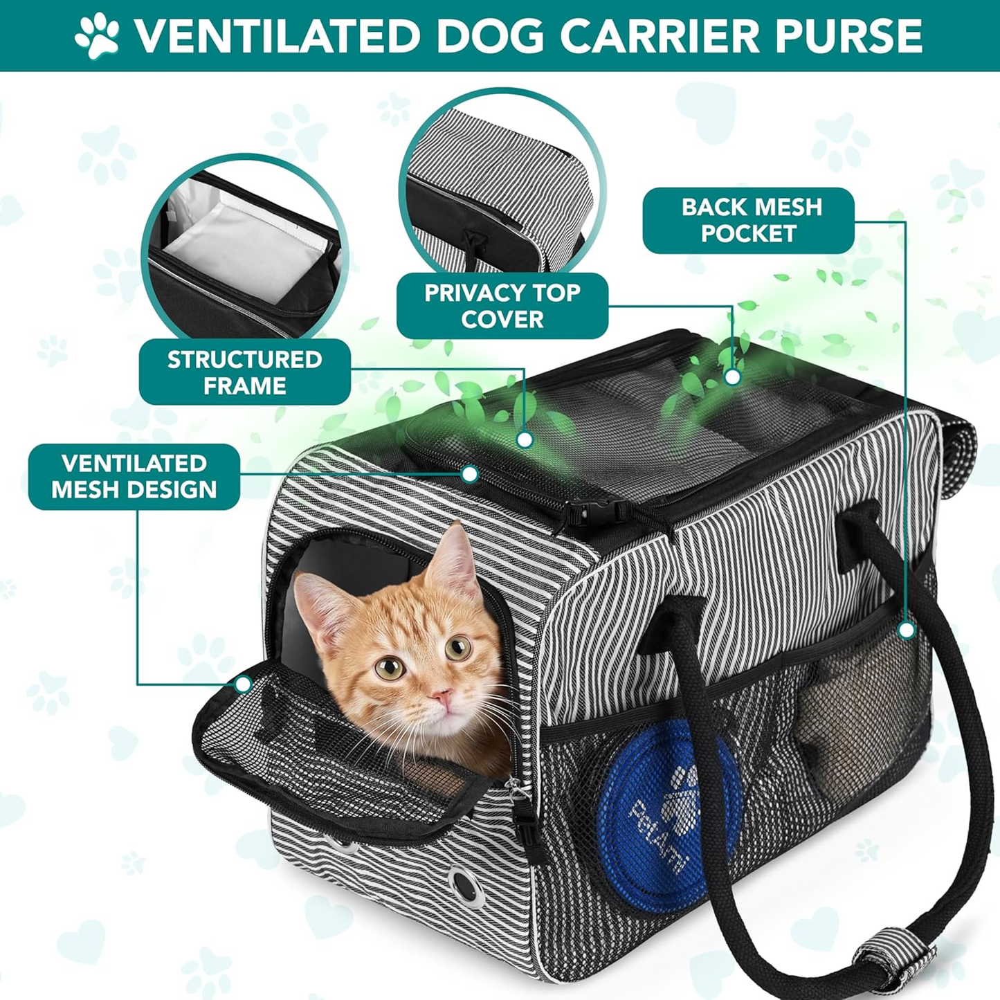 Dog Travel Carrier